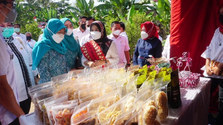 H. Wianarni Nanang Ermanto selaku Duta Swasembada Gizi Lampung Selatan memberikan pengarahan dan  pemahaman kesehatan Reoroduksi dan Stunting  bagi Calon Pengantin