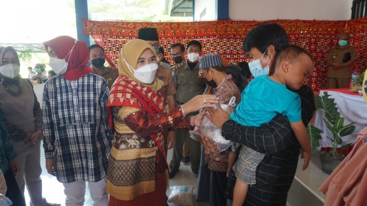 Sosialisasi 1000 Hari Pertama Kehidupan (HPK)  Oleh Hj.Winarni Nanang Ermanto