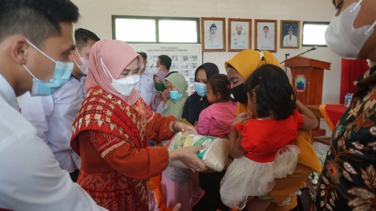 Hj. Winarni Nanang Ermanto Memberikan Sosialisasi 1000 Hari Pertama Kehidupan ( HPK ) 