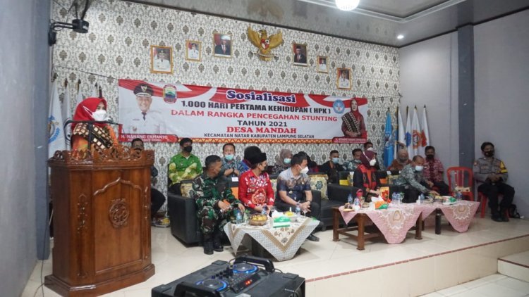 Hj. Winarni Nanang Ermanto memberikan Sosialisasi 1000 hari pertama kelahiran (HPK) di Desa Mandah  Kecamatan Natar Lampung Selatan 