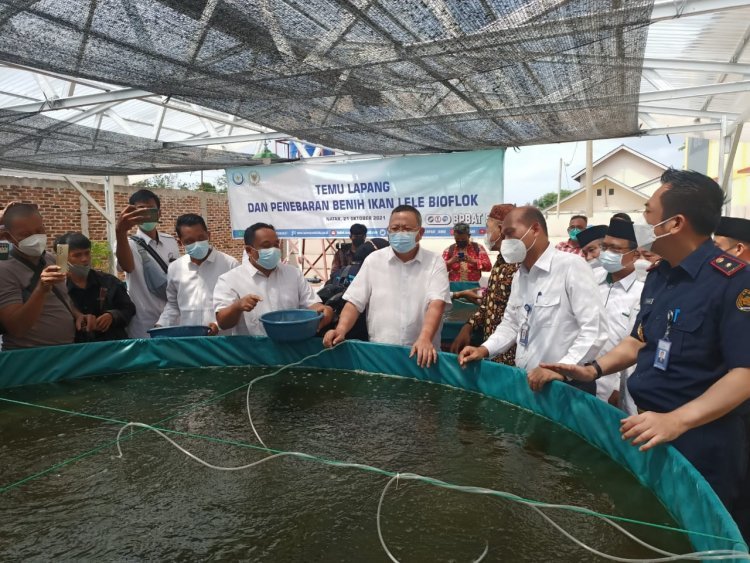 Temu Lapang dan Penebaran Benih Ikan Lele Bioflok Oleh Bapak Sudin Ketua Komisi IV DPR RI  di desa Pemanggilan Kecmatan Natar 