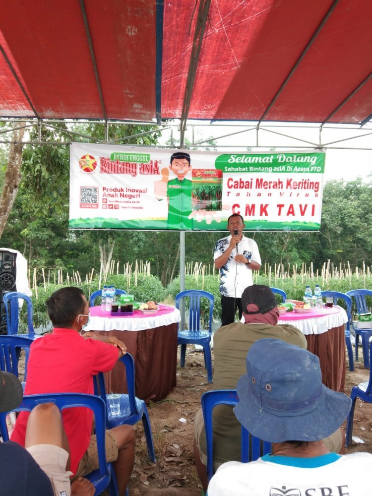 Anggota Fraksi PDI Perjuangan  Dapil 3 (Penengahan,Bakauheni,Ketapang,Sragi) Bapak Taman Panen cabai merah bersama petani di desa karang sari kecamatan ketapang