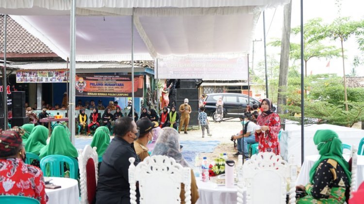 Kunjungan dan pembinaan dewan kesenian lampung selatan. Hj Winarni Nanang Ermanto 