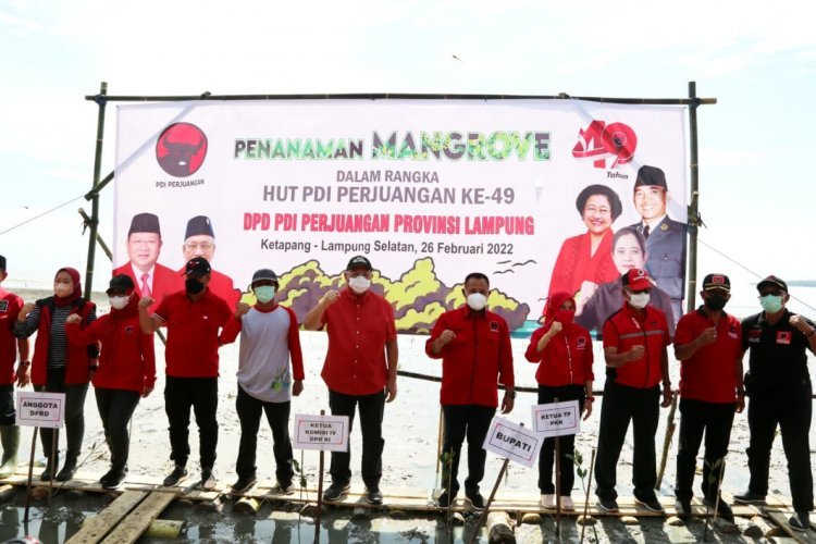 Penanaman Mangrove di Desa Ketapang Lampung Selatan