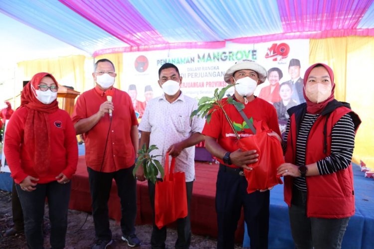 Penanaman Mangrove di Desa Ketapang Lampung Selatan