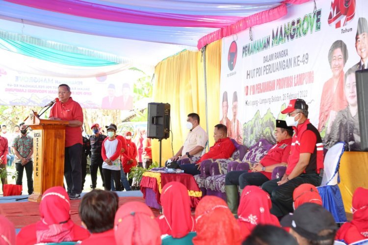 Penanaman Mangrove di Desa Ketapang Lampung Selatan