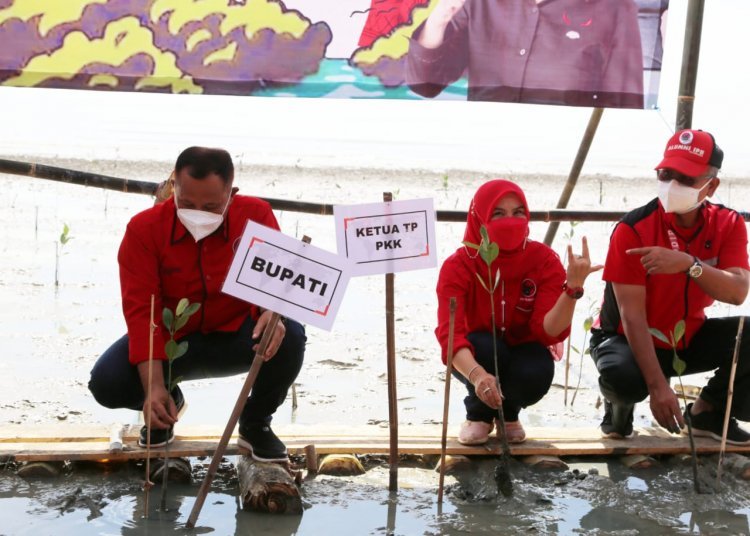 Penanaman Mangrove di Desa Ketapang Lampung Selatan