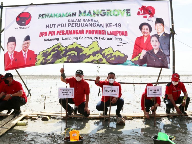 Penanaman Mangrove di Desa Ketapang Lampung Selatan