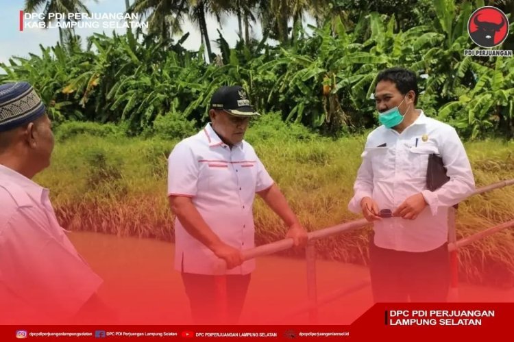 Wujudkan Harapan Warga Kecamatan Ketapang, Nanang Bakal Lebarkan Jembatan Parit 9 Desa Berundung