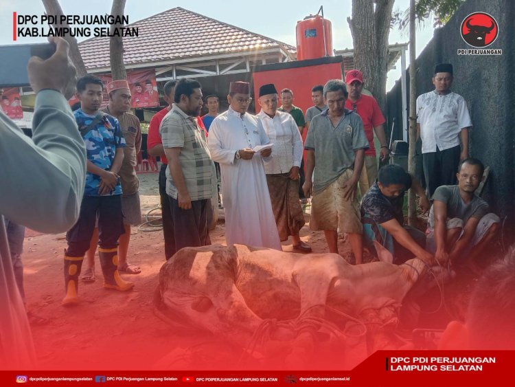 Rayakan Idul Adha DPC PDI Perjuangan Kabupaten Lampung Selatan Bagikan Daging Kurban