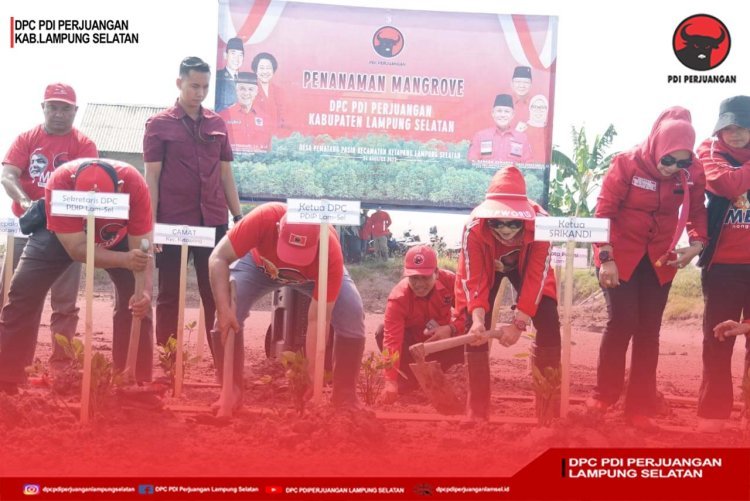 Peringati HUT RI Ke 78, DPC PDI Perjuangan Kabupaten Lampung Selatan Tanam 4.000 Bibit Pohon Mangrove